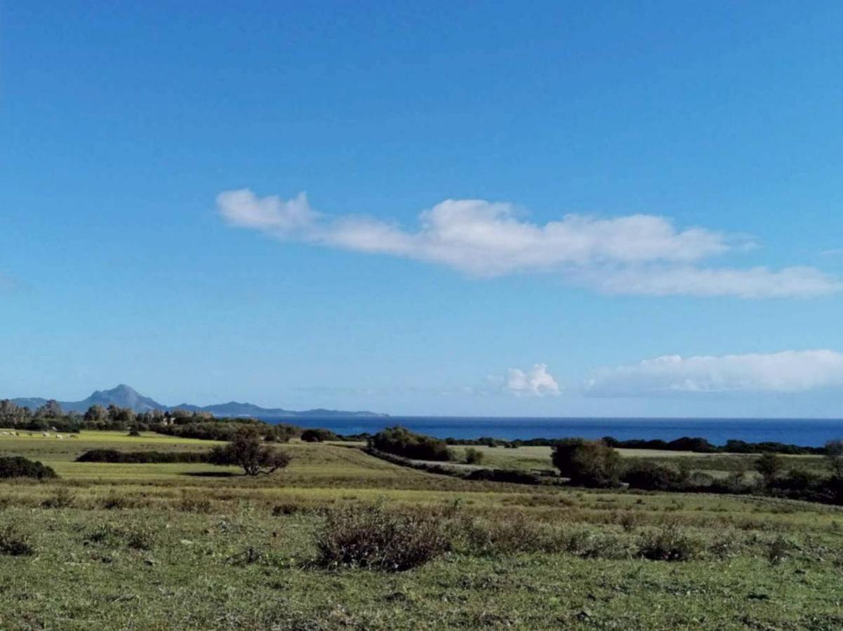 Fattoria Di Anja E Marco Villa Costa Rei Dış mekan fotoğraf