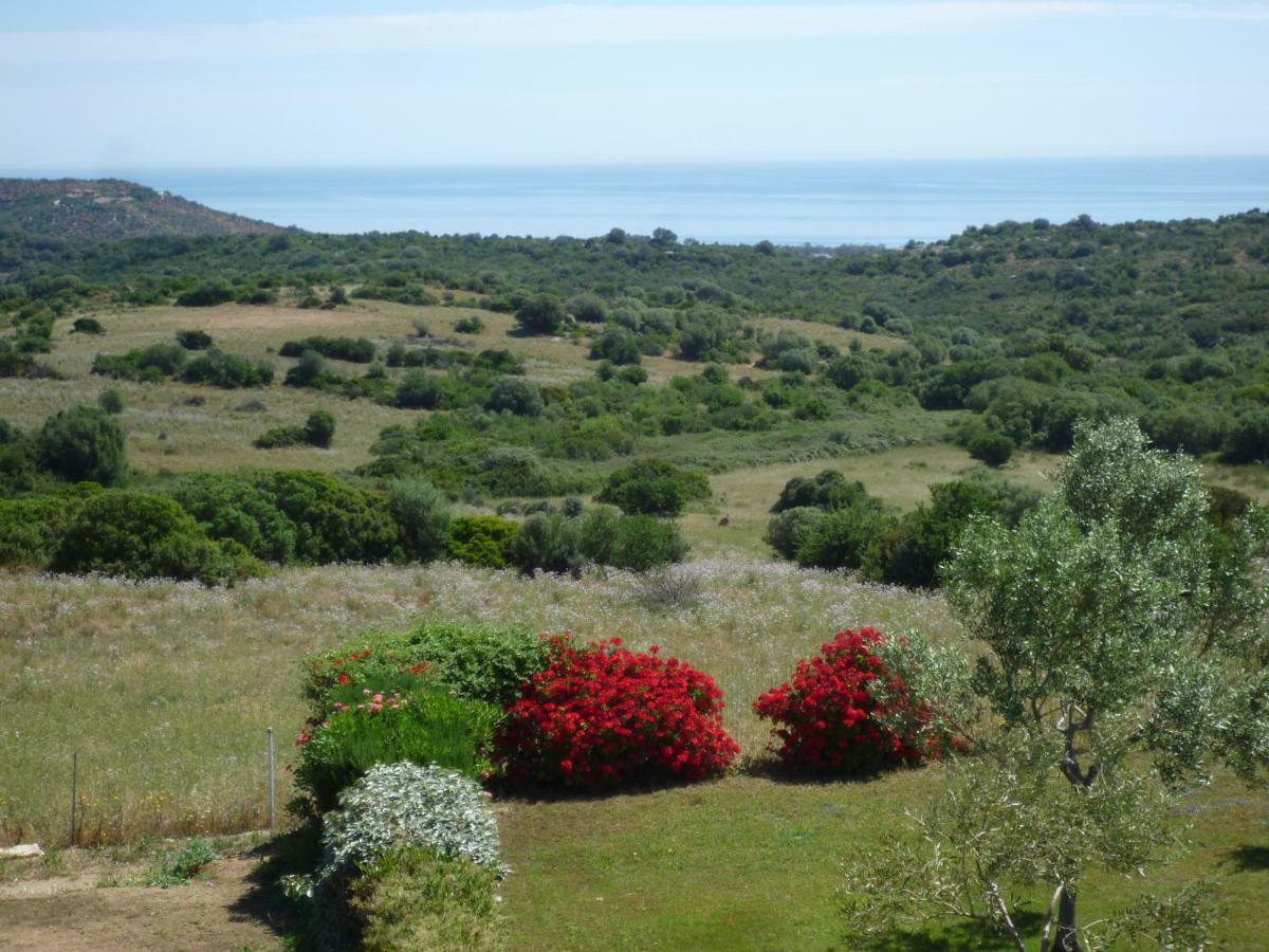 Fattoria Di Anja E Marco Villa Costa Rei Dış mekan fotoğraf
